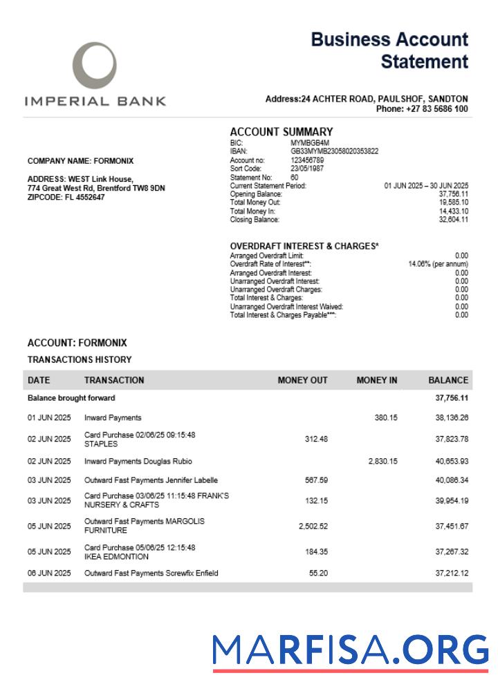 Realistic South African Imperial Bank firm account statement Word and PDF template